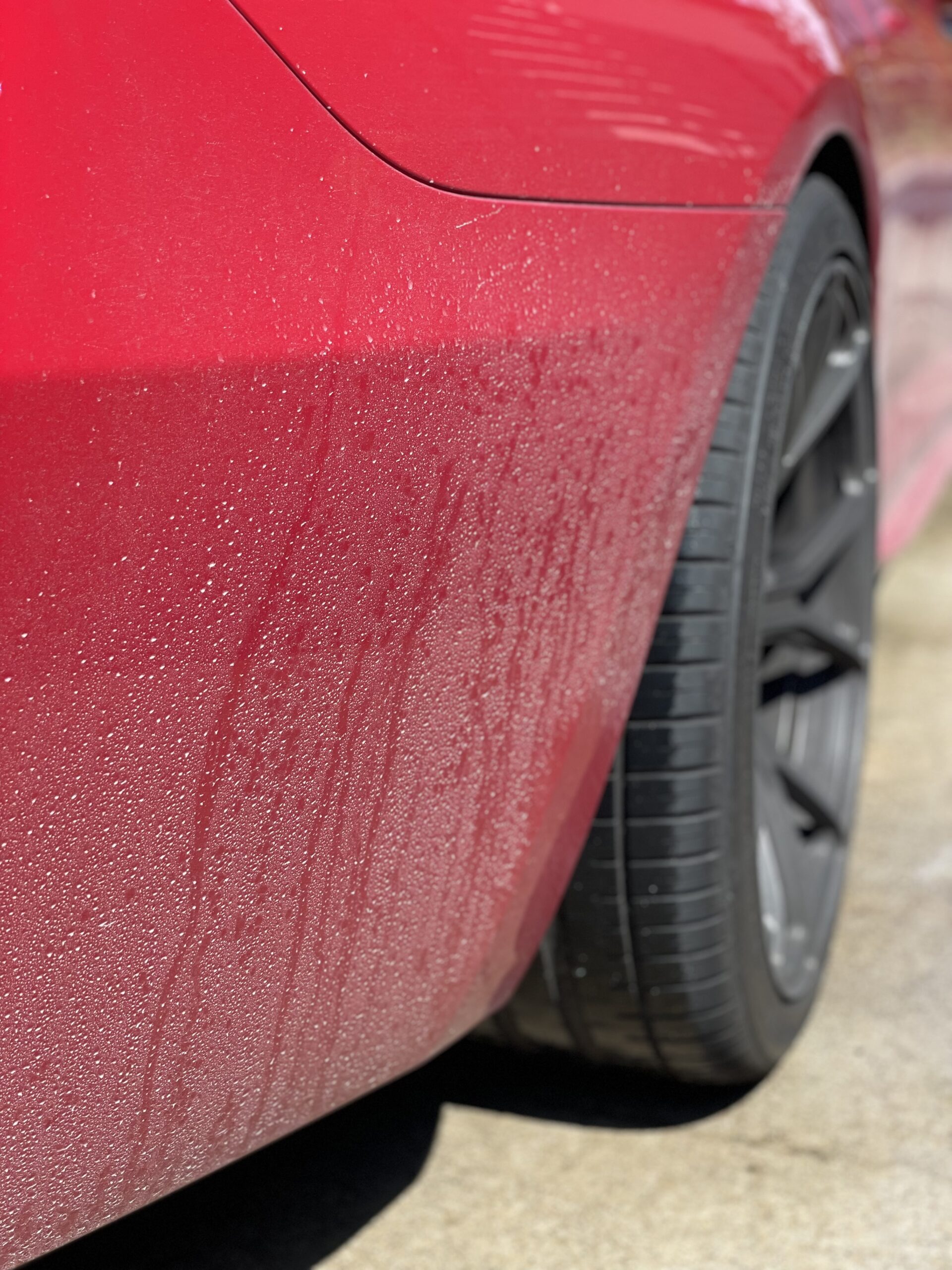 洗車前のBMW F13 650i フロントまわりに汚れが乗った状態